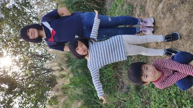 銅鑼杭菊、彈珠汽水