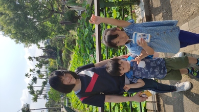 中興新村賞荷